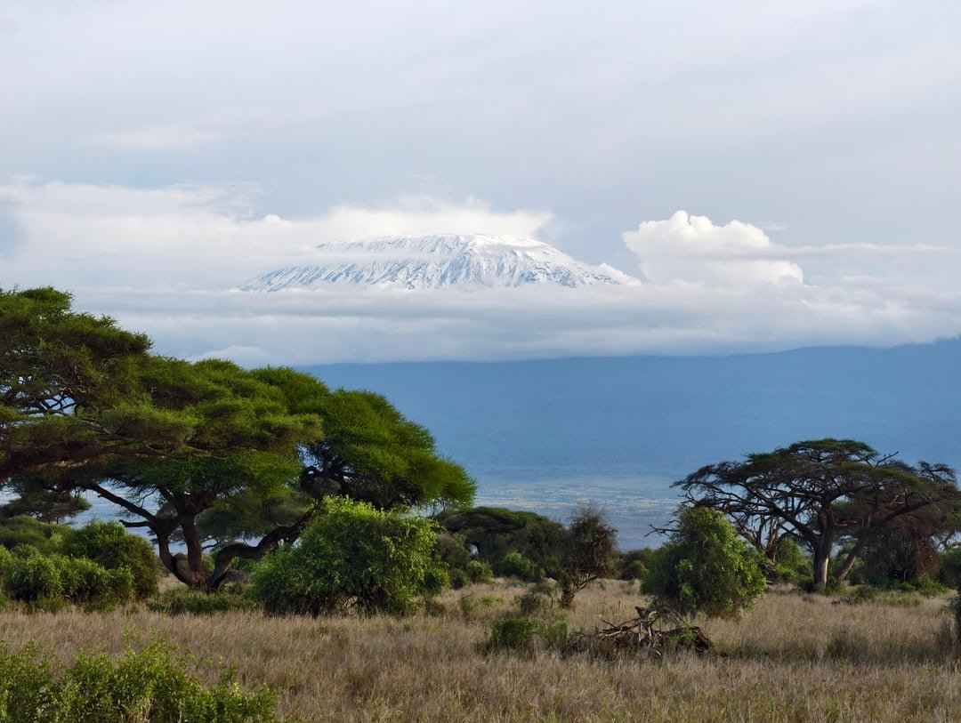 How to Plan a Multi-Destination Safari Without Wasting Time