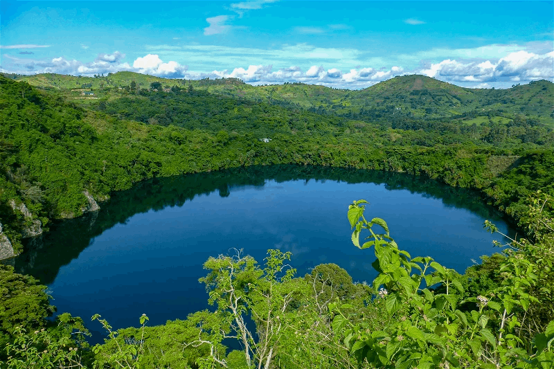 Kibale Forest
